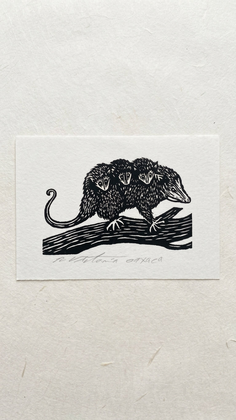 Grabado artístico de tlacuache con tres crías – obra gráfica inspirada en la naturaleza