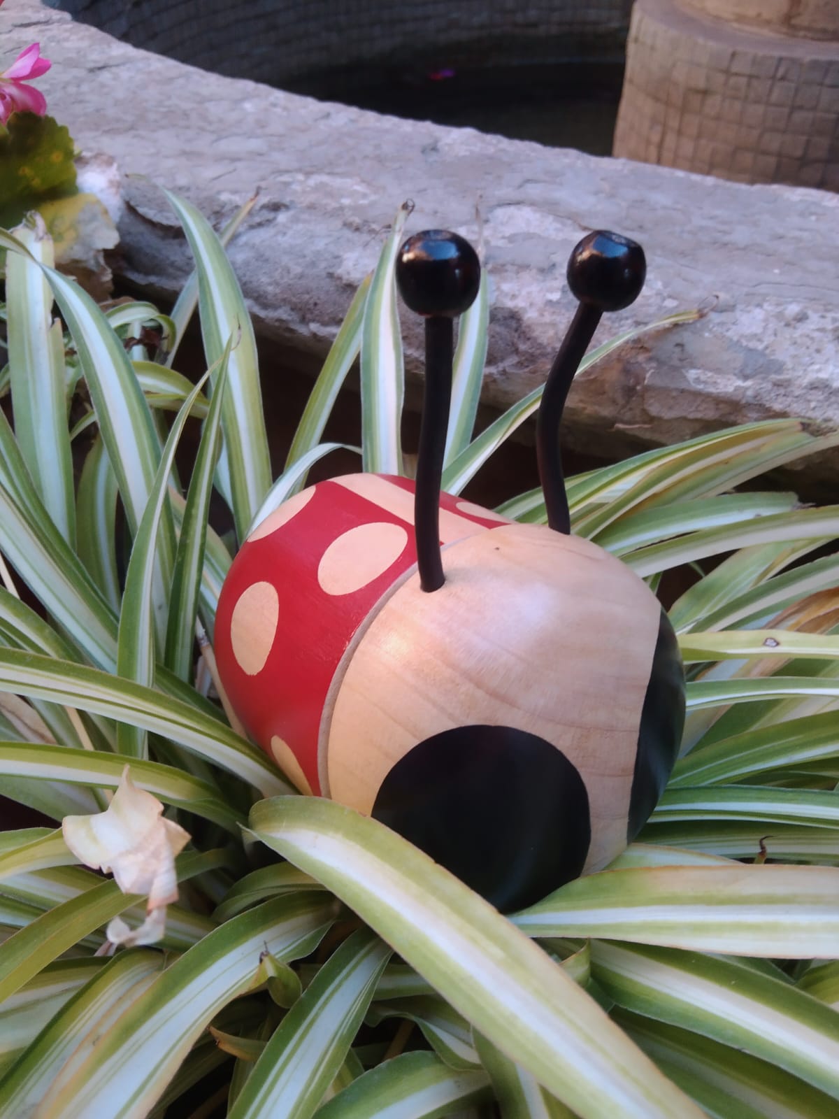 Catarina Roja de Madera Artesanal con Antenitas Negras – 9 cm